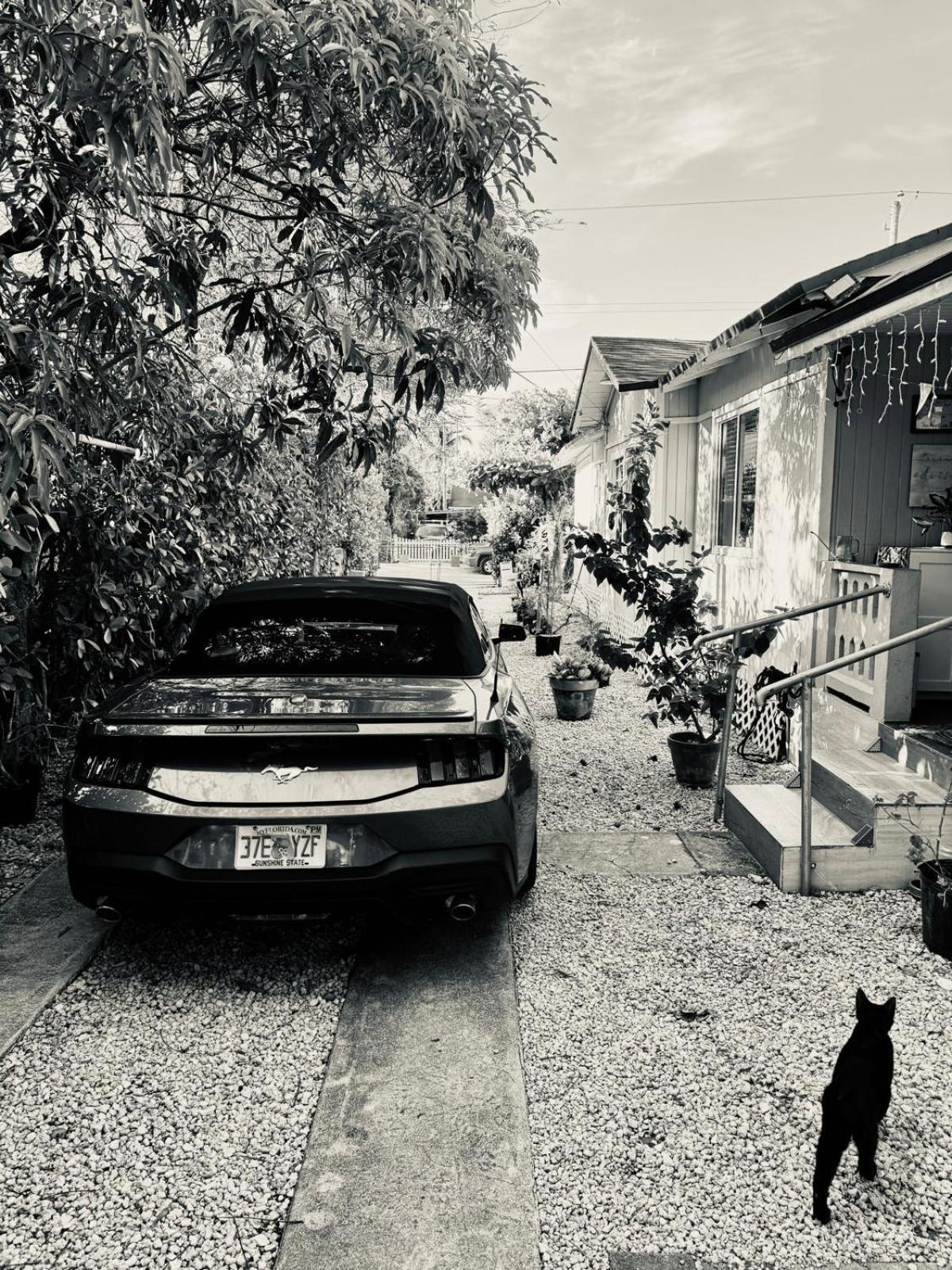 מיאמי Quiet & Centrally Located House - Private Parking, Laundry And Storage For Luggage מראה חיצוני תמונה